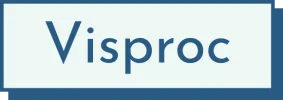 合同会社Visproc