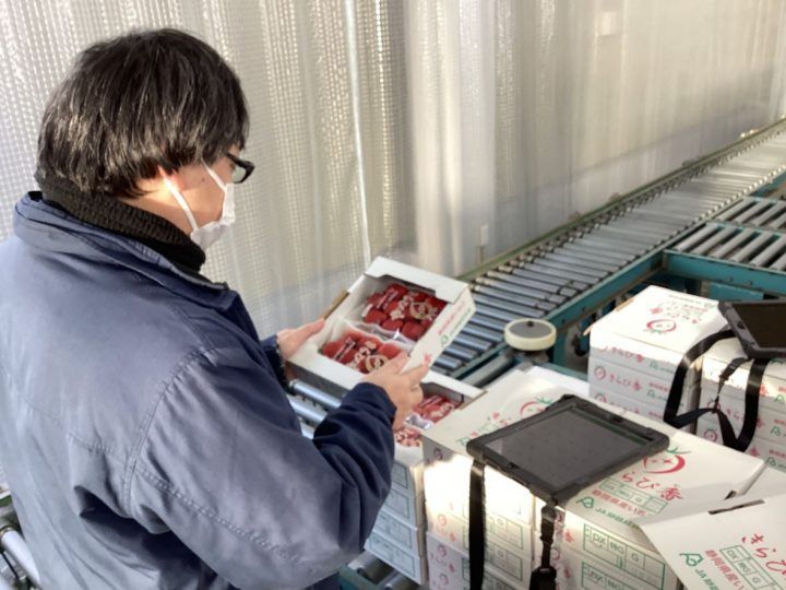 青果・農産物の出荷前ロスでお困りの事業者様へ