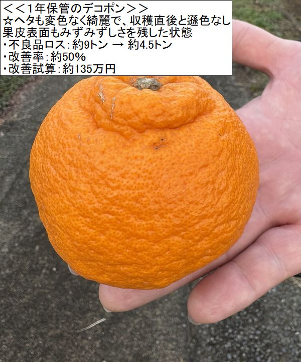 柑橘類の保管を行う農家・農業法人  ・選果場  ・青果卸売事業者  ・保管中の品質低下や廃棄ロスにお悩みの事業者