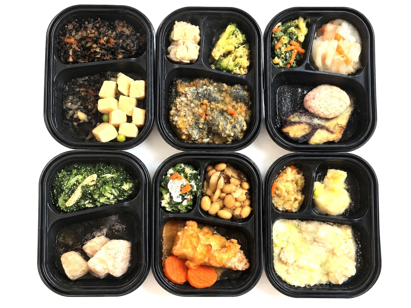 こちらがお届けする試食サンプルです 朝昼夕2日分の計６食（内容は日替わり）