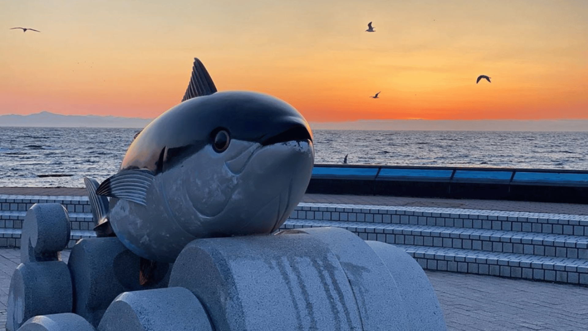 厳選素材の仕入れ