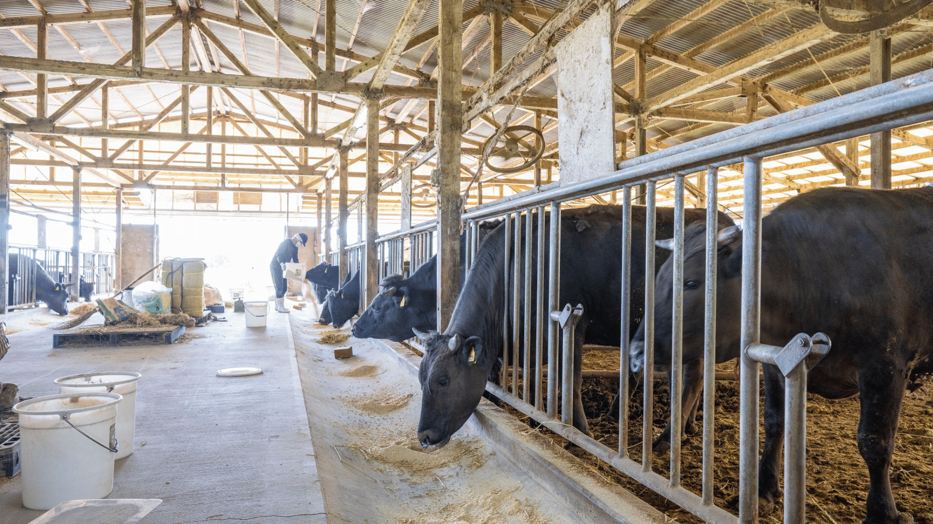 徹底した無添加製法