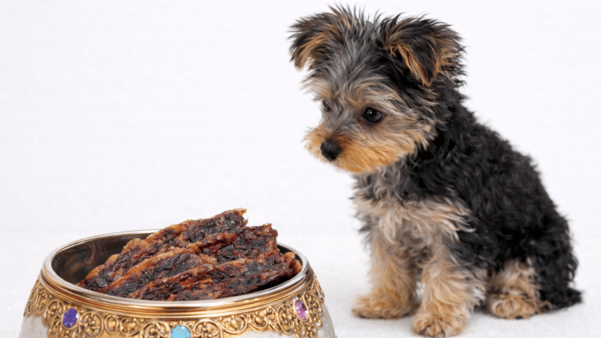 栄養価と満足感の両立