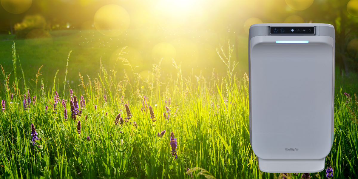 フィルター交換不要で手間なく快適空間特許取得のOHラジカル技術でウイルス・菌・ニオイを<span class="blueBack">強力除去</span>し、<span class="underline">清潔な環境</span>を維持