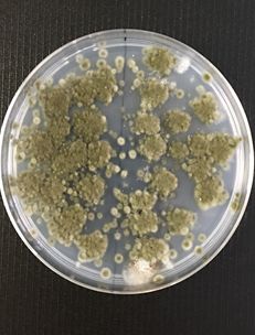 原因特定と環境改善