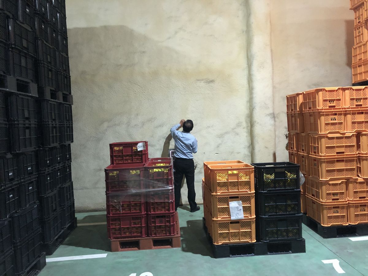 持続可能な保管環境の実現